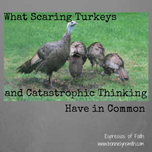 What Scaring Turkeys and Catastrophic Thinking Have in Common