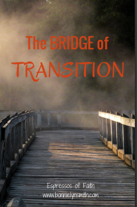 The Bridge of Transition