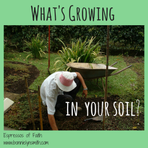 What Is He Planting in Your Soil?-2