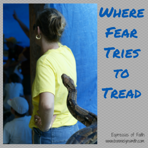 Where Fear Tries to Tread
