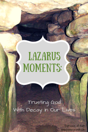 Lazarus Moments: Trusting God With Decay in Our Lives